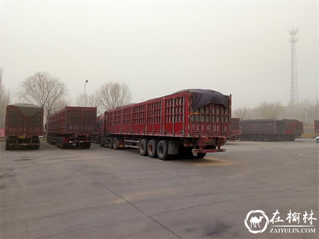 古城滩超限站路警联合执法成效显著