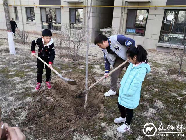 建业路社区爱绿护绿环保小分队开展“愿与小树共同成长”亲子植树活动