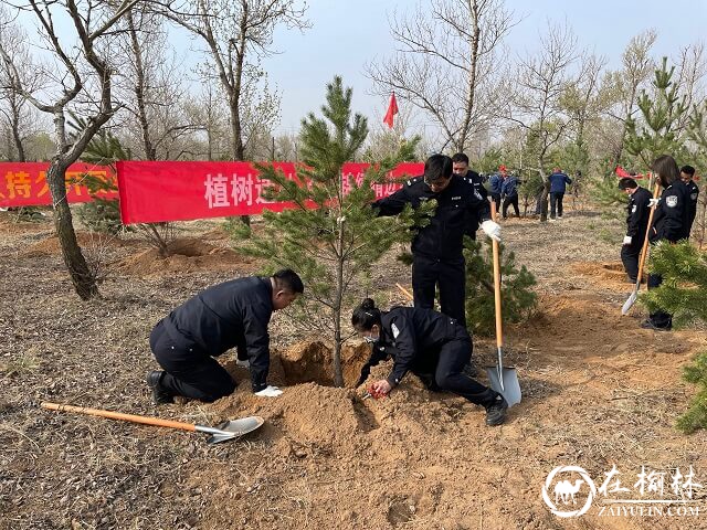 靖边县公安局积极开展义务植树活动