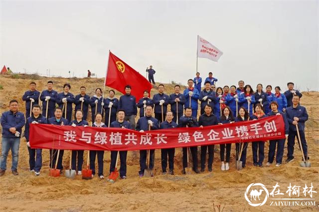 中国石化榆林石油分公司开展“我与绿植共成长 绿色企业携手创”义务植树活动