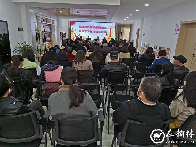 榆阳区驼峰办金阳社区召开党史学习教育动员大会