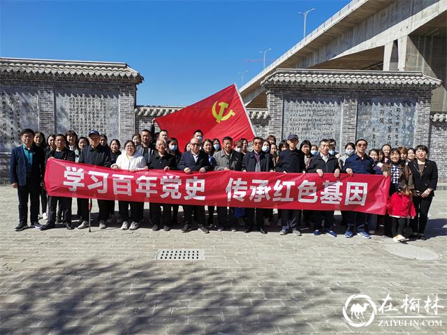 榆阳区金阳社区开展“学习百年党史 传承红色基因” <font color='red'>红色教育</font>主题党日活动