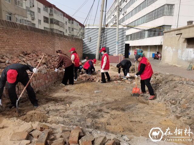 榆阳区芹涧路社区我为群众办实事——巷道修补