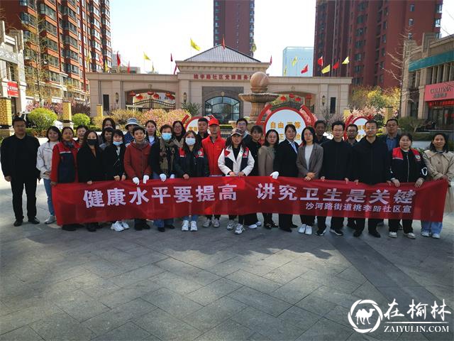 沙河路街道办桃李路社区：我为群众办实事，环境整治总动员