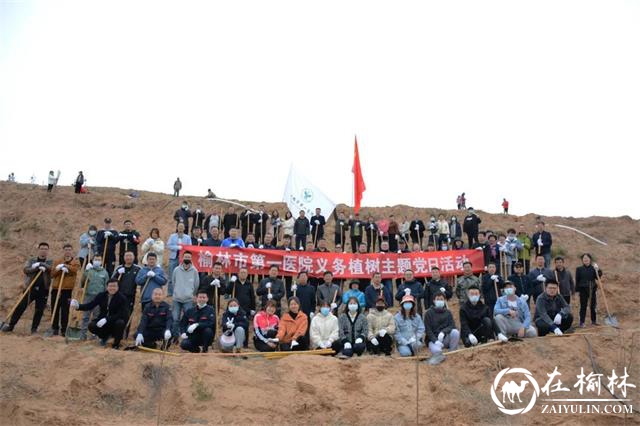 榆林市第一医院组织党员干部开展义务植树主题党日活动
