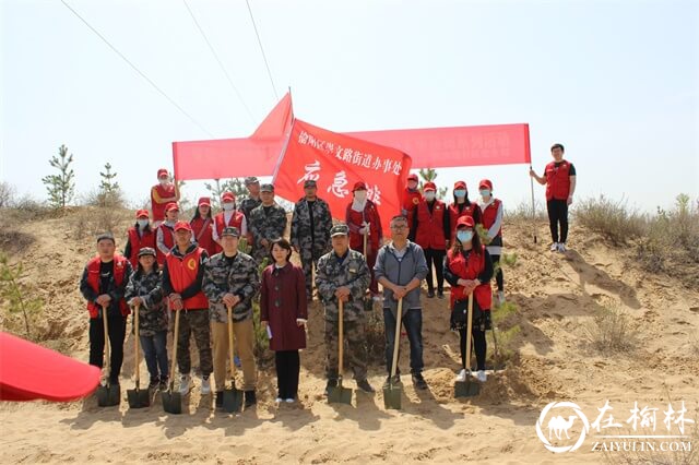 榆阳区崇文路街道武装部组织基干民兵义务植树活动