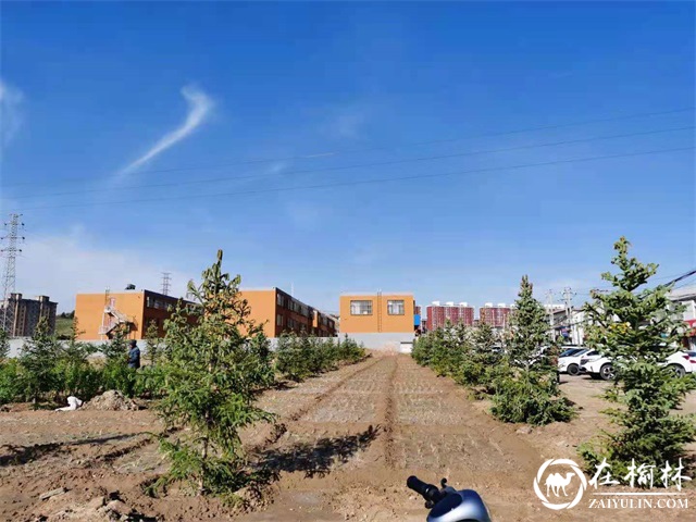 榆阳区崇文办寨城庄社区:闲土地“变身”小景观 带动社区“颜值”大提升