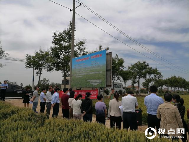 渭南市临渭区：践行群众路线，三级共建“建良田”