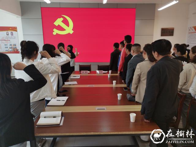 榆阳区驼峰办望湖路社区开展“重温入党誓词”党史学习教育主题活动