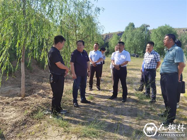 榆林市人大常委会来榆阳区调研《榆林市城镇园林绿化条例》实施工作情况暨立法后评估工作