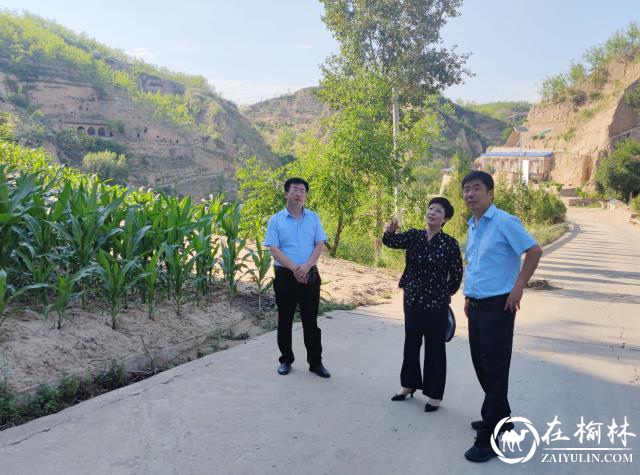 佳县县委常委、统战部部长杨红梅赴坑镇等地巡查防汛工作