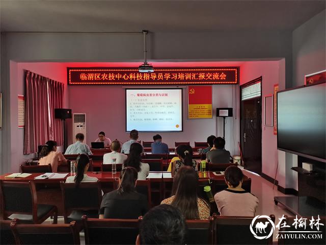 临渭区农技中心连续3天召开科技交流会 持续加快科技指导员能力提升