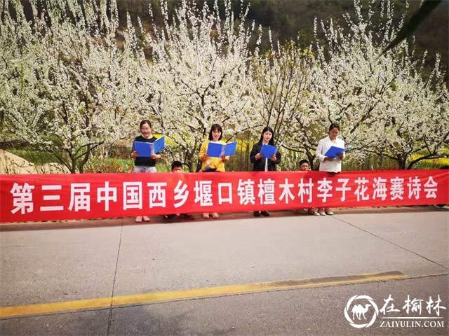 第三届中国西乡堰口镇檀木村李子花海赛诗会成功举办