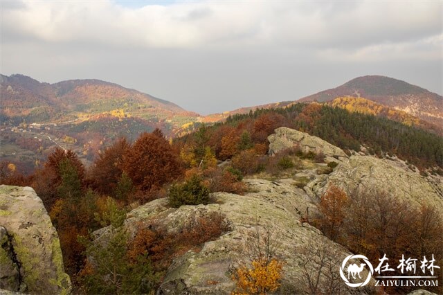 这，是我们眷恋的陕北