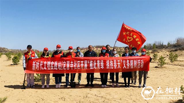 榆阳区新明办定慧寺社区开展“植此青绿 拥抱春天”义务植树活动