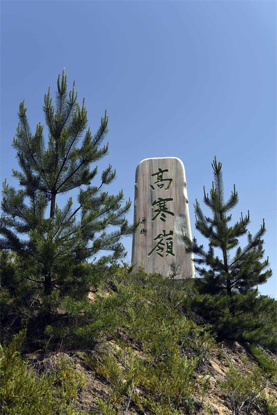 赵迪：遇见高寒岭 品味高寒岭