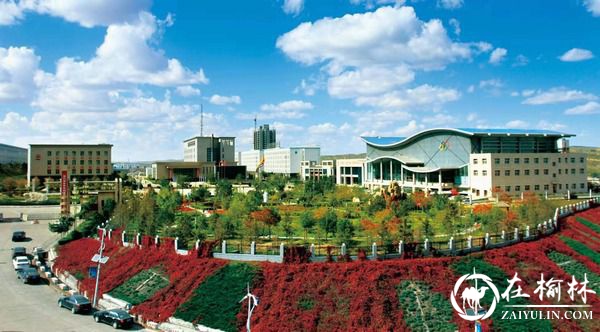 柠条塔矿业公司“三步走”蹚出绿色低碳发展新路子