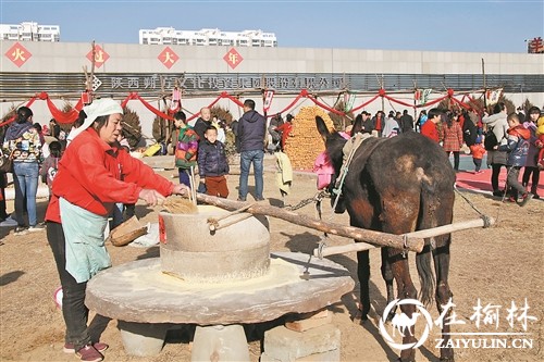 古老的艺术 别样的年味—榆林本土匠艺人及群众文化艺术展演举行