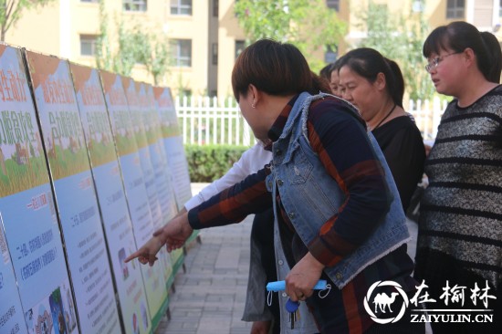 &ldquo;激发内生动力 合力脱贫攻坚&rdquo;主题宣传活动在金榆社区展开