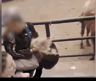 百威啤酒造假视频曝光 黄桷湾立交5层匝道看哭导航