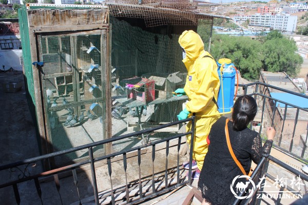 榆阳区金华路社区针对H7N9禽流感进行消毒防范工作