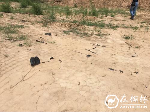 网曝延安延长县常年掩埋污油泥环境之殇谁之责？