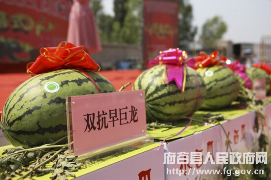府谷县墙头农业园区举办第四届西瓜节帮助瓜农扩展销路