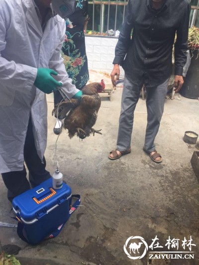 榆阳区金华路社区针对H7N9禽流感开展入户消毒防疫工作