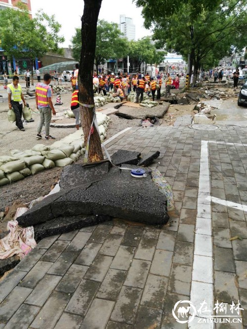 榆阳区鼓楼街道二里半社区全员奔赴在防汛一线