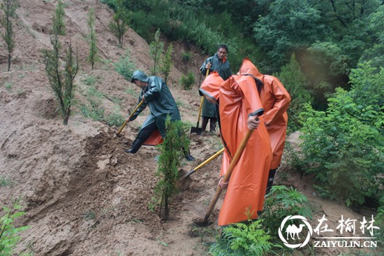 清涧九里山治超站多项举措确保安全度汛