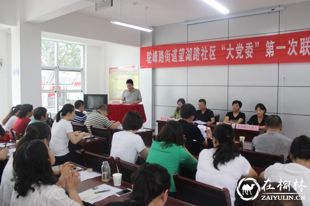 榆阳区望湖路社区“大党委”成立大会暨第一次联席会议