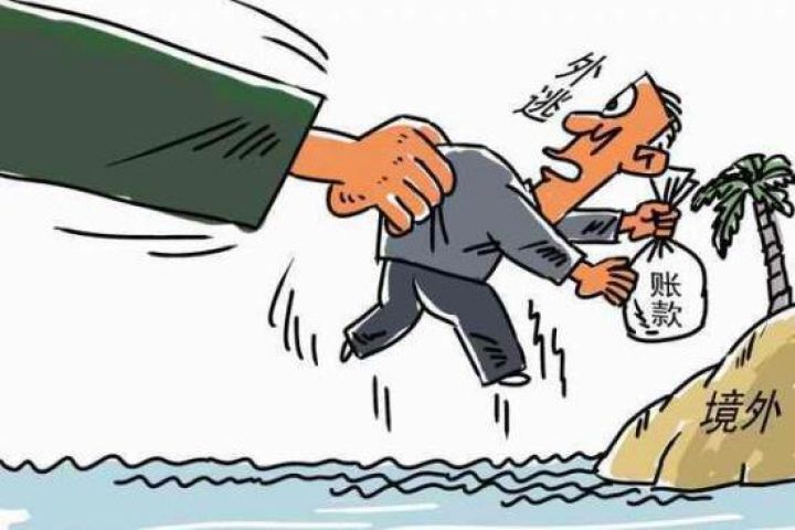 赵荪愚：追逃&ldquo;红通人员&rdquo;是警示&ldquo;活教材&rdquo;