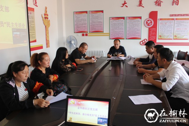 榆阳区金华路社区召开“学先进典型 做合格党员”专题民主生活会