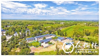 整齐划一的民居