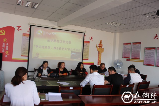 榆阳区金华路社区召开“学先进典型 做合格党员”专题民主生活会