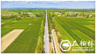 笔直的通村公路