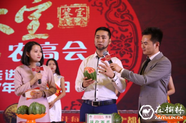2017西安·陕北人文经济交流博览会成功举办