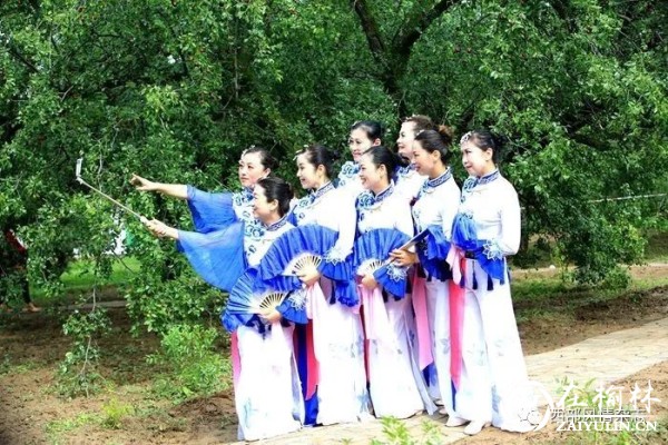 首届阎良相枣文化旅游节在阎良区关山镇举办