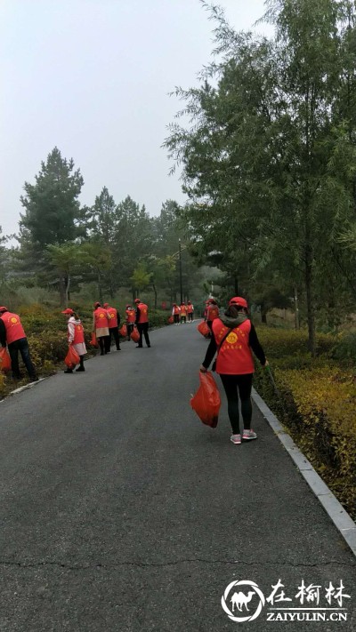 榆阳区：齐心携手清洁家园 志愿者在行动