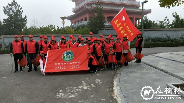 榆阳区：齐心携手清洁家园 志愿者在行动
