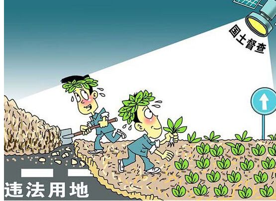 淇止一点点：还土地一份清净