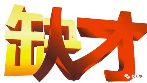 魏延安：电商人才的&ldquo;双城记&rdquo;