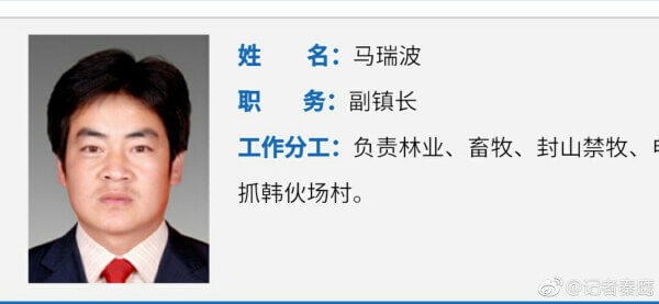 靖边县杨米涧镇：封山禁牧令成一纸空文 副镇长称执行政策不能太教条