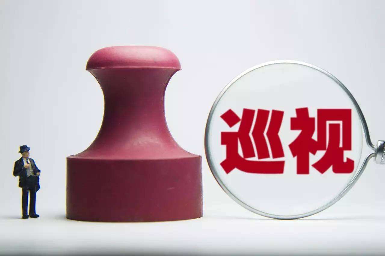 安政服：让巡视的监督&ldquo;探照灯&rdquo;亮起来