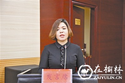 榆林高新区大风车尚郡幼儿园园长汪欣妍：重视加强小微企业创新发展