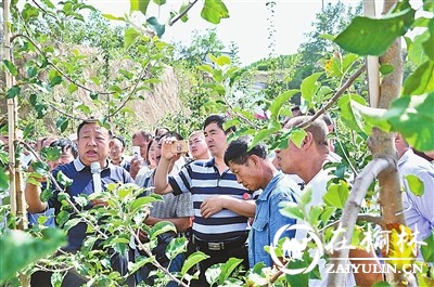 榆林市百名农业科技人员投身产业扶贫纪实