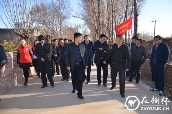 神木市大保当镇美丽乡村建设：镇长李军下乡检查农村环境卫生