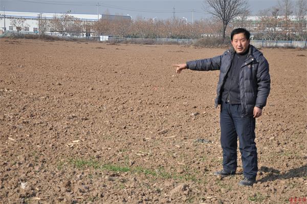 西安临潼区百亩土地荒芜多年 复垦刚有收获却遭强行收回