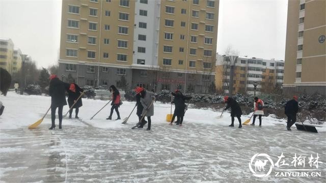 榆阳区金阳社区开展“义务扫雪献真情”志愿活动