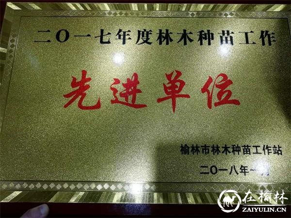 神木市林木种苗工作站荣获2017年&ldquo;先进集体&rdquo;